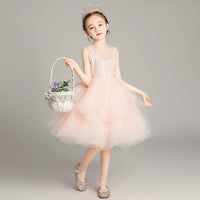 Princess Dress Girls Tulle Tutu Little Girls Western Style Flower Girl Wedding Dress Host Performance Wear Children's Catwalk Dress