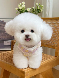 Pet Clothes Fall and Winter New Arrival Double-Sided Stuffed Thickening Vest Outwear Teddy Bichon Dog Cat Vest Cardigan