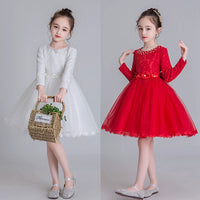 Autumn and Winter Clothes Summer Ten Years Old Birthday Costume Princess Dress