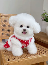 Pet Clothes Fall and Winter New Arrival Fleece-lined New Year Clothes Tangzhuang Dress Teddy Bichon Dog Cat New Year New Year Clothes