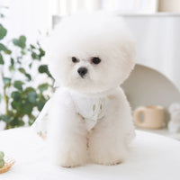 Puppy Dog Spring and Summer Breathable Lace Ribbon Floral Double-Layer Princess Dress Cat Teddy Small and Medium-Sized Dogs Pet Clothes