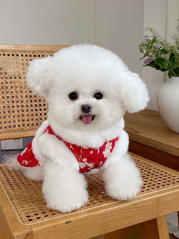 Pet Clothes Fall and Winter New Arrival Fleece-lined New Year Clothes Tangzhuang Dress Teddy Bichon Dog Cat New Year New Year Clothes