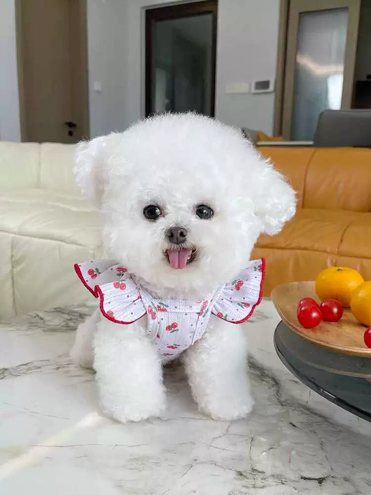 Pet Clothes Summer Thin Korean Style Flounced Sleeve Vest Camisole Teddy Bichon Dog Cat Air Conditioning Clothes Pajamas