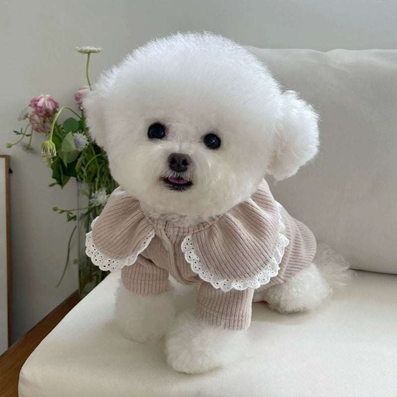 Pet Clothes Fall and Winter New Arrival Lace Lace Button Knitting Cardigan Teddy Bichon Dog Cat Heattech Outwear