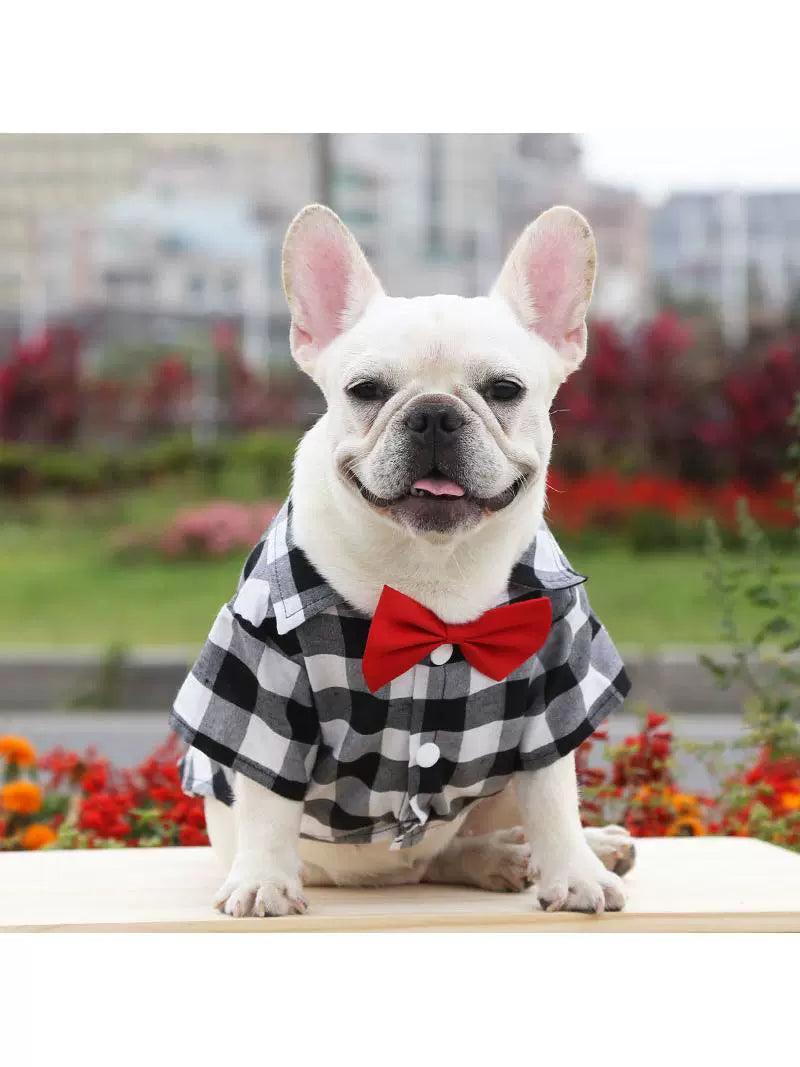 pug bridesmaid dress Beautiful Bride Surprises with Proposal!