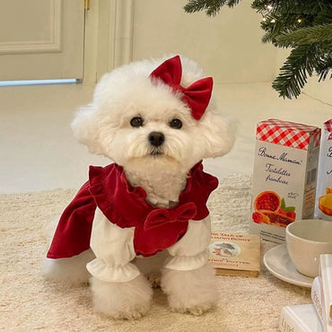 Dog New Year Princess Dress Autumn and Winter Teddy Bichon Pomeranian Small Dog Cat Pet Clothes Winter