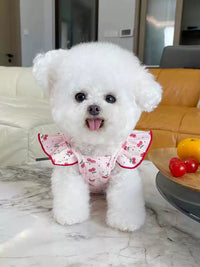 Pet Clothes Summer Thin Korean Style Flounced Sleeve Vest Camisole Teddy Bichon Dog Cat Air Conditioning Clothes Pajamas