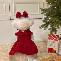 Dog New Year Princess Dress Autumn and Winter Teddy Bichon Pomeranian Small Dog Cat Pet Clothes Winter