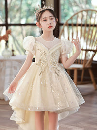 Children's Trailing Evening Dress Flower Girl Princess Dress Girls Host Wedding Dress Tulle Tutu Girls Costume for Piano Performance Summer