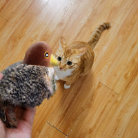 Expensive for Gigwi Cat Toy Artificial Bird Mouse Sound Relieving Stuffy Cat Self-Hi Handy Gadget Stuffed Cat Teaser