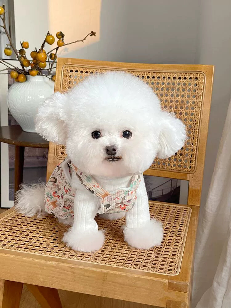 Pet Clothes Fall and Winter New Arrival Quilted Fleece-lined Suspenders Teddy Bichon Dog Cat Traction Buckle Thickened Outwear