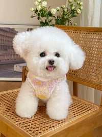 Pet Clothes Fall and Winter New Arrival Double-Sided Stuffed Thickening Vest Outwear Teddy Bichon Dog Cat Vest Cardigan