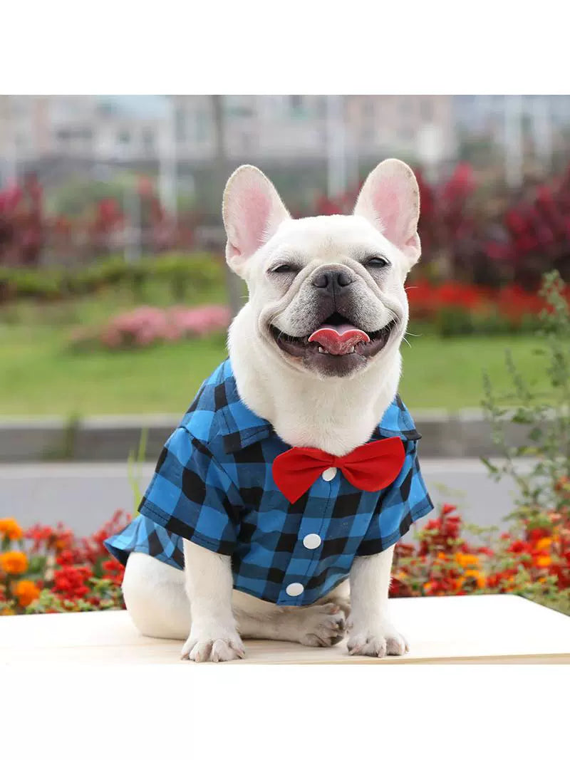 Dog Gingham Shirt Suit Wedding Dress Jarre Aero Bull Pug Small, Medium and Large Dogs Pet Clothes Cat Supplies