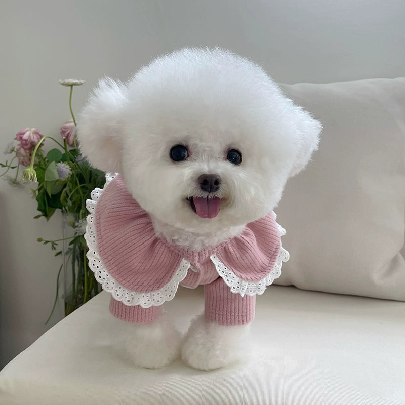 Pet Clothes Fall and Winter New Arrival Lace Lace Button Knitting Cardigan Teddy Bichon Dog Cat Heattech Outwear