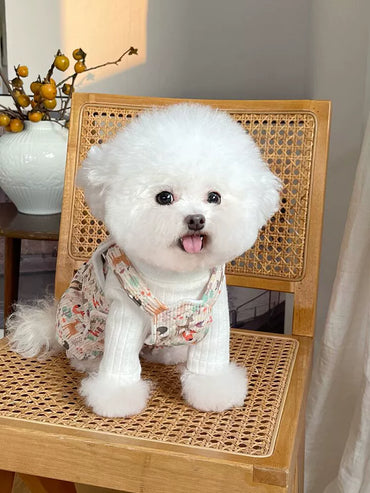 Pet Clothes Fall and Winter New Arrival Quilted Fleece-lined Suspenders Teddy Bichon Dog Cat Traction Buckle Thickened Outwear