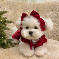 Dog New Year Princess Dress Autumn and Winter Teddy Bichon Pomeranian Small Dog Cat Pet Clothes Winter