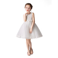 Autumn and Winter Clothes Summer Ten Years Old Birthday Costume Princess Dress