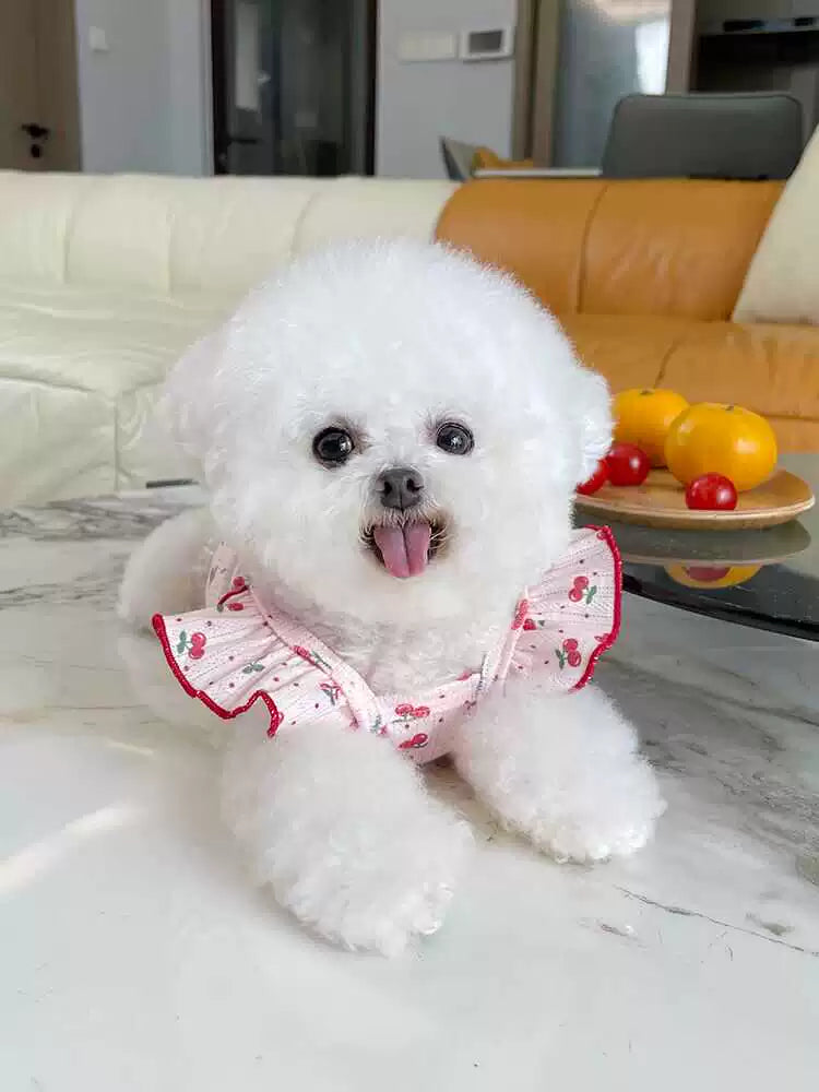 Pet Clothes Summer Thin Korean Style Flounced Sleeve Vest Camisole Teddy Bichon Dog Cat Air Conditioning Clothes Pajamas