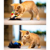 Expensive for Gigwi Cat Toy Artificial Bird Mouse Sound Relieving Stuffy Cat Self-Hi Handy Gadget Stuffed Cat Teaser