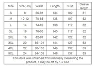 Temperament Summer Dresses for Women 2023 Fashion Leopard Print Long Sleeve Commuter Polo Large Swing long Elegant Dress Clothes