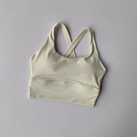 All-in-one Sports Bra Collection Breast High-intensity Professional Shock-proof Huddle Running Bra Yoga Fitness Bra Summer Cloth
