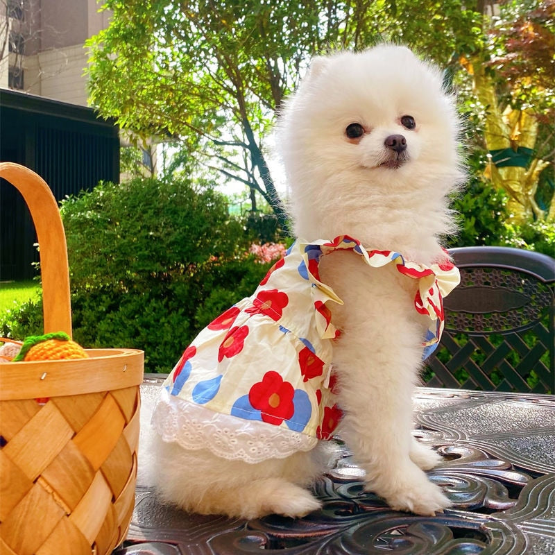 Princess Style Dog Dresses Pet Floral Skirt Cotton Suspender Pet Clothing Mesh Skirt Sweet Dog Clothes for Small Dogs Pet Items