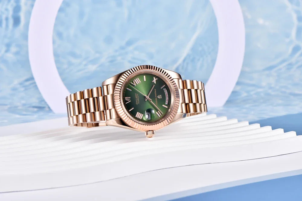 2025 New PAGANI DESIGN Luxury Men Mechanical Watches Rose Gold Automatic Watch For Men AR Sapphire Mirror Sports Clock Man Gifts