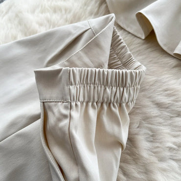 Mini Skirt Set Women Two Piece Sets Polo Collar Shorts Shirt Tops Dress Sets Casual Y2k Streetwear Pleated Shorts 2026 Elegant