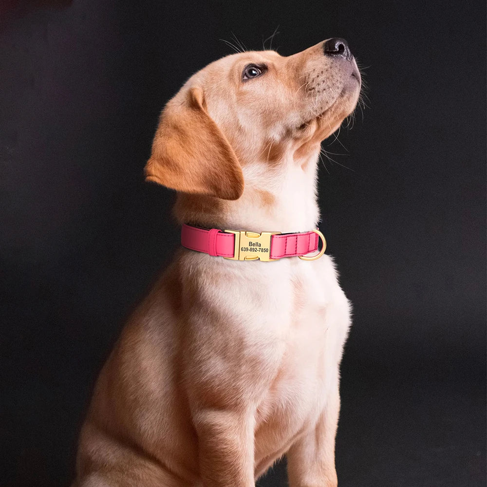 Personalized Nylon Dog Collar Mesh Breathable Padded Dog Collars Custom Pet ID Collars Waterproof Necklace for Small Medium Dogs