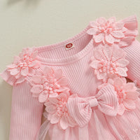 Little Princess Birthday Party Dress Embroidery Flower Lace Tutu Romper Dress Infant Baby Girl Clothes Outfits