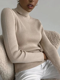 ITOOLIN Winter Women Turtleneck Sweater Basic Knitted Soft Pullovers Cashmere Jumpers For Women Fashion Elastic Warm Sweaters