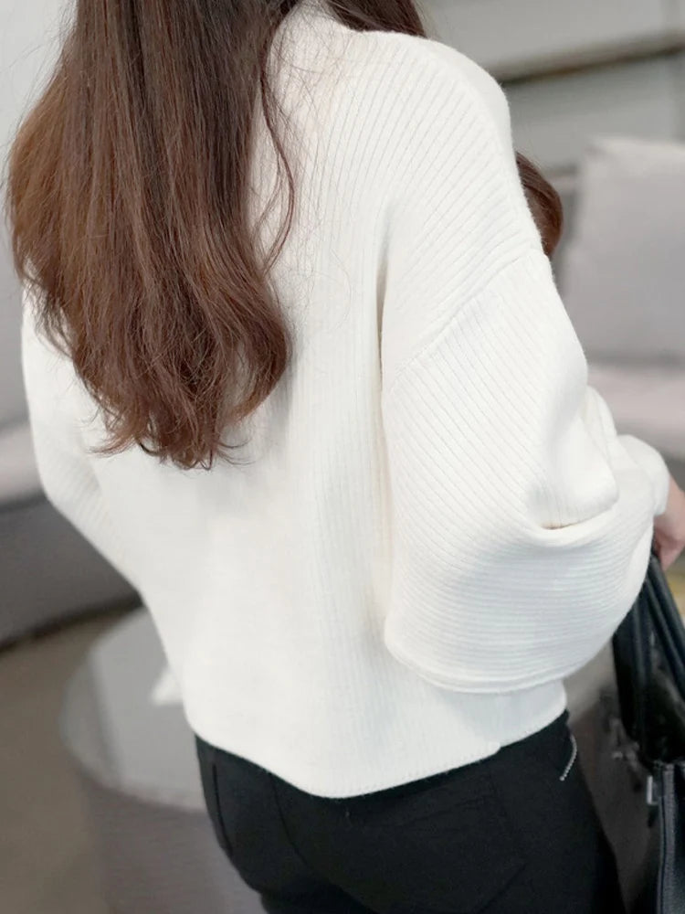 2022 New Winter Women Sweaters Fashion Turtleneck Batwing Sleeve Pullovers Loose Knitted Sweaters Female Jumper Tops