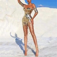 Long Sleeve Bare Shoulder Glitter Sequined Dress See Through Mesh Spliced Bodycon Party Cocktail Evening Dress for Women