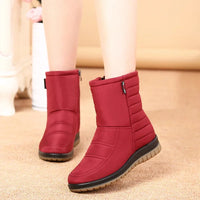 Winter Shoes Women Waterproof Snow Boots Warm Plush Ladies Ankle Booties Flat Non-slip Black Blue Red Big Size 42