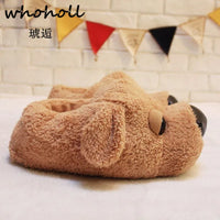 Winter Home Funny Slipper Men Cotton Cute Dog Male Plush Slipper Floor Fantufas Chauson Couple Shoe Pantuflas De Hombre Invierno