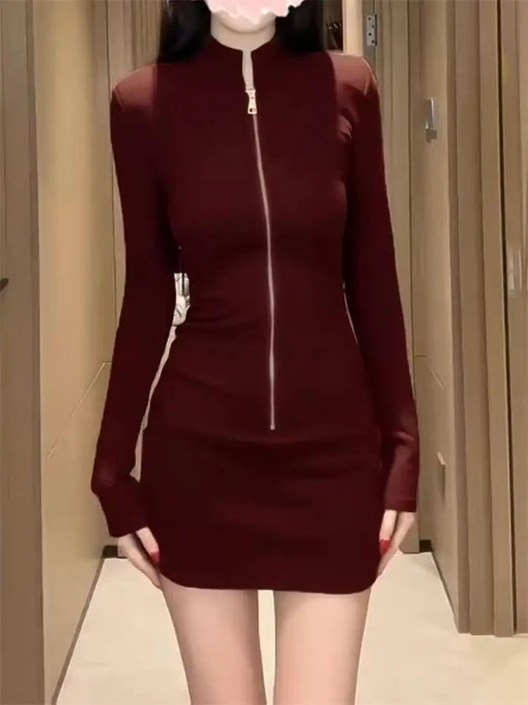 Long Sleeve Zipper Bodycon Dress Women Turtleneck Sexy Mini Dresses Autumn Black Skinny Stretchy Party Vestidos