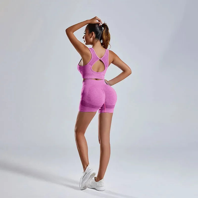 Women's Fitness Suit 2-piece Set of Hollow Back Sports Bra High Waist Shorts Yoga Suit