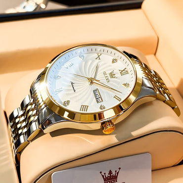 OLEVS Men Mechanical Watch Top Brand Luxury Automatic Watch Sport Stainless Steel Waterproof Watch Men relogio masculino