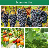 Plant Trellis Pergolas, Heavy-Duty Polyester Grow Net, Garden Trellis Netting With Square Mesh For Climbing Plants, Vegetables,