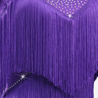 2025 Dress For Dance Parties Dancewear Women's Latin Dance Suit Sexy Clothing Kids Fringed Skirt Practice Ballroom Costume Stage