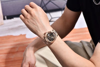 2025 New PAGANI DESIGN Luxury Men Mechanical Watches Rose Gold Automatic Watch For Men AR Sapphire Mirror Sports Clock Man Gifts