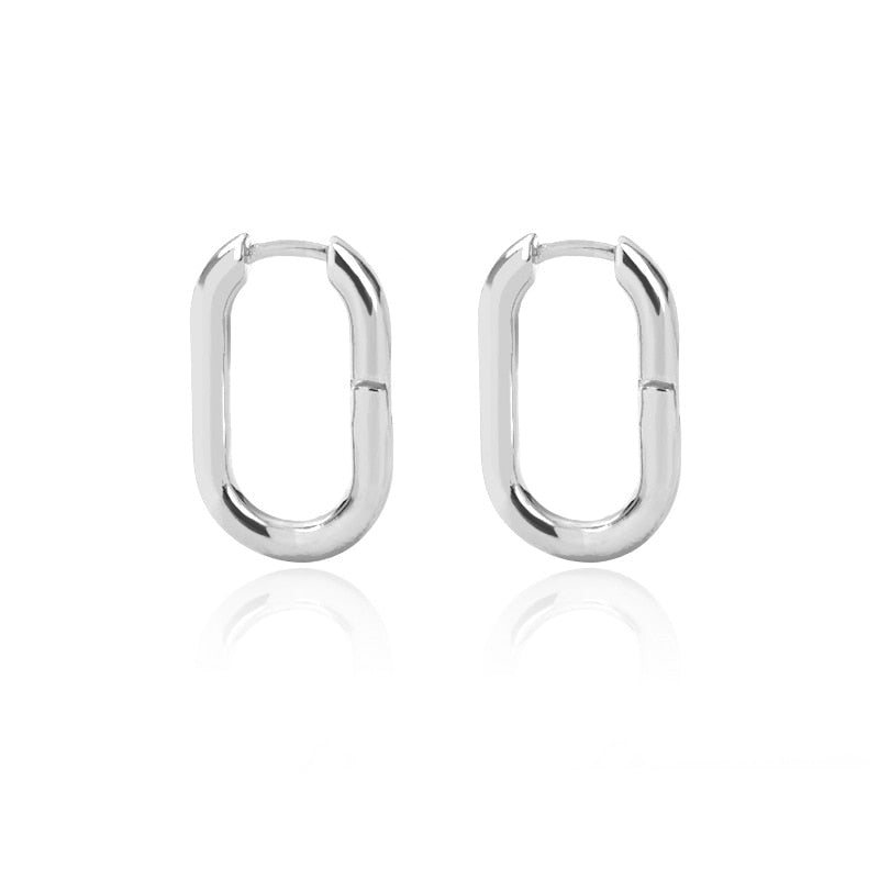 Stainless Steel Hook Earrings For Women Pin Minimalist Chic Baroque Style Elegant Female Jewelry Delicate Earring Gift 2023