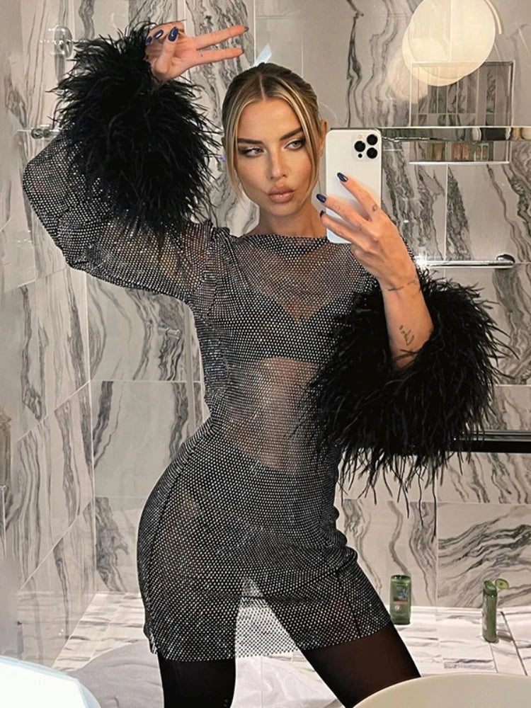 2023 Sexy Mesh Mini Dress Women Fashion Feathers Tassel Full Sleeve Se Mega Mart Center 2023 Sexy Mesh Mini Dress Women Fashion Feathers Tassel Full Sleeve Se Mega Mart Center