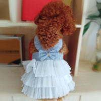 Dog Summer Dress Cat Lace Skirt Pet Clothing Chihuahua Stripe Skirt Puppy Cat Princess Apparel Cute Puppy Clothe Dog Accessories