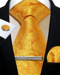 Mens Tie Set Silk Silver Paisley Floral Necktie and Pocket Square Cufflinks Tie Clip Classic Formal Ties for Men Wedding Party