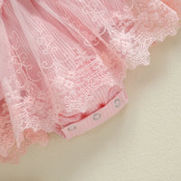 Little Princess Birthday Party Dress Embroidery Flower Lace Tutu Romper Dress Infant Baby Girl Clothes Outfits