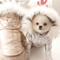 Waterproof Dog Coat Jacket Warm Dog Clothes Winter Pet Outfit Cat Puppy Yorkie Clothing Chihuahua Poodle Pomeranian Dog Costumes