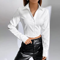Spring and summer casual shirt fashion personality style senior white collar long sleeve women's wear