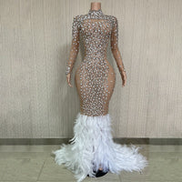 Sparkling Silver Transparent Feather Long Dress Celebrating Luxury Costume Dancer Flash Dress Party Birthday Photography Dress