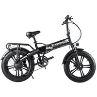 20-inch 750W Folding Lithium Battery Assisted Variable Speed Off-road Snow Electric Vehicle Motorized Bicycle Electric